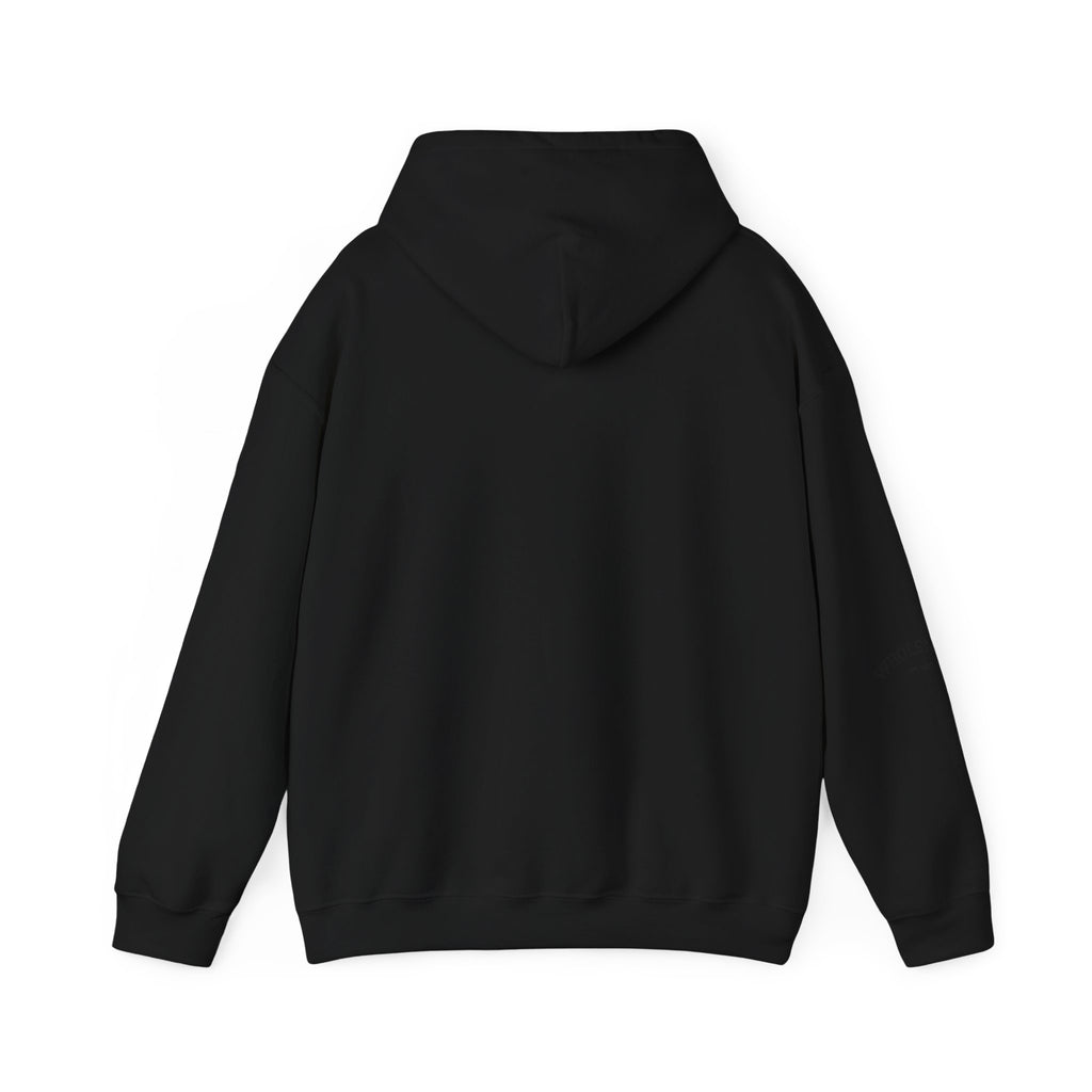 IEP Compass Hoodie | Special Education Parent Advocate Sweatshirt