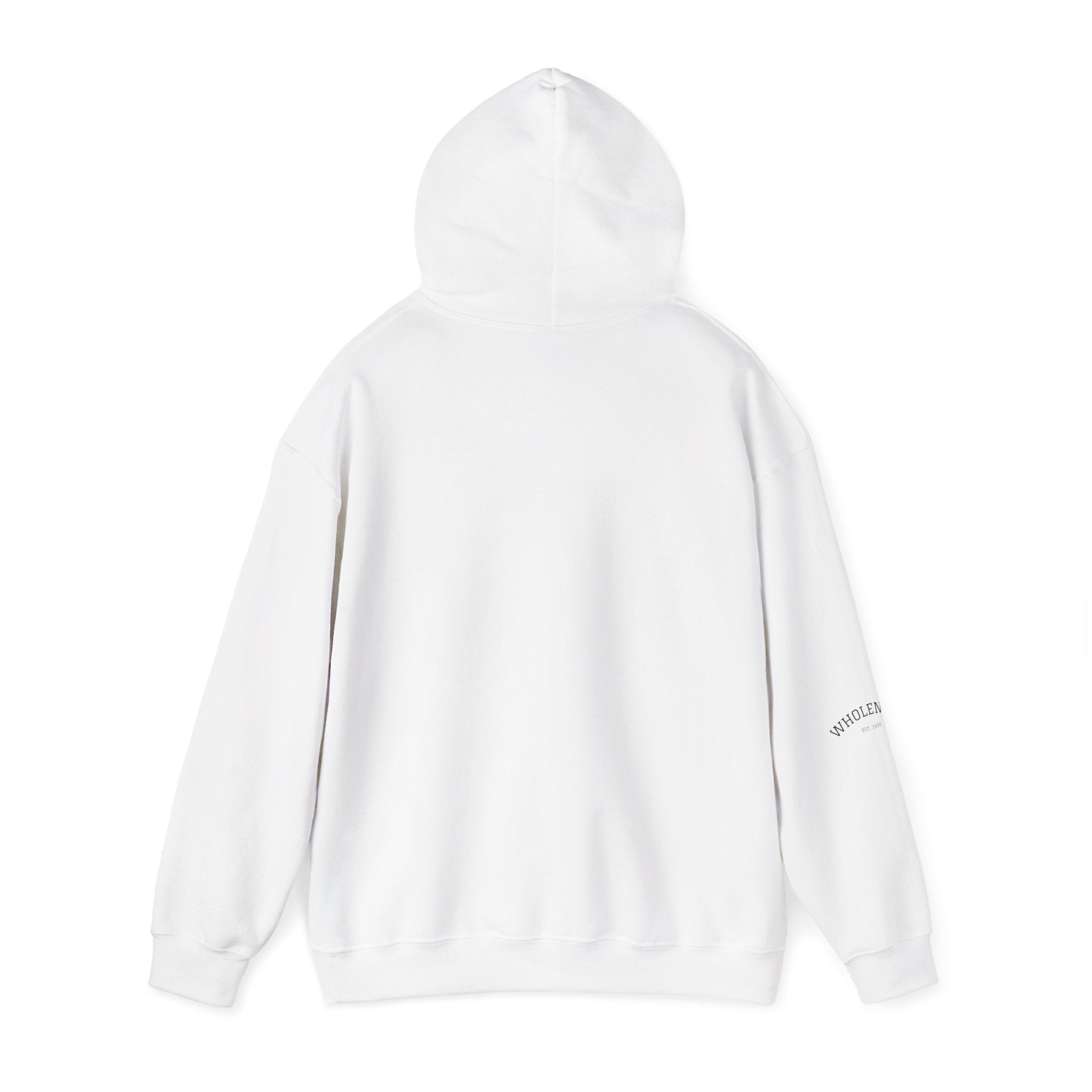 IEP Compass Hoodie | Special Education Parent Advocate Sweatshirt