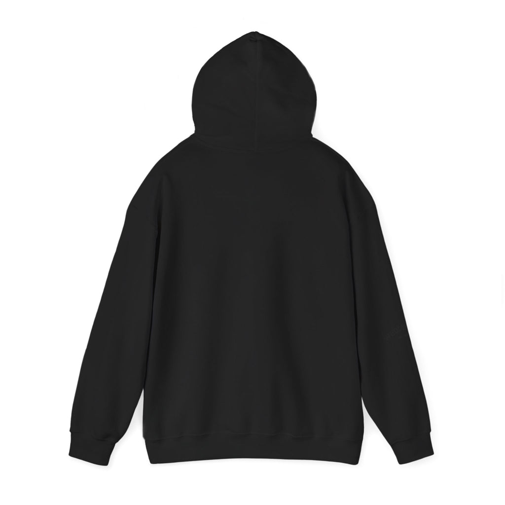 IEP Compass Hoodie | Special Education Parent Advocate Sweatshirt