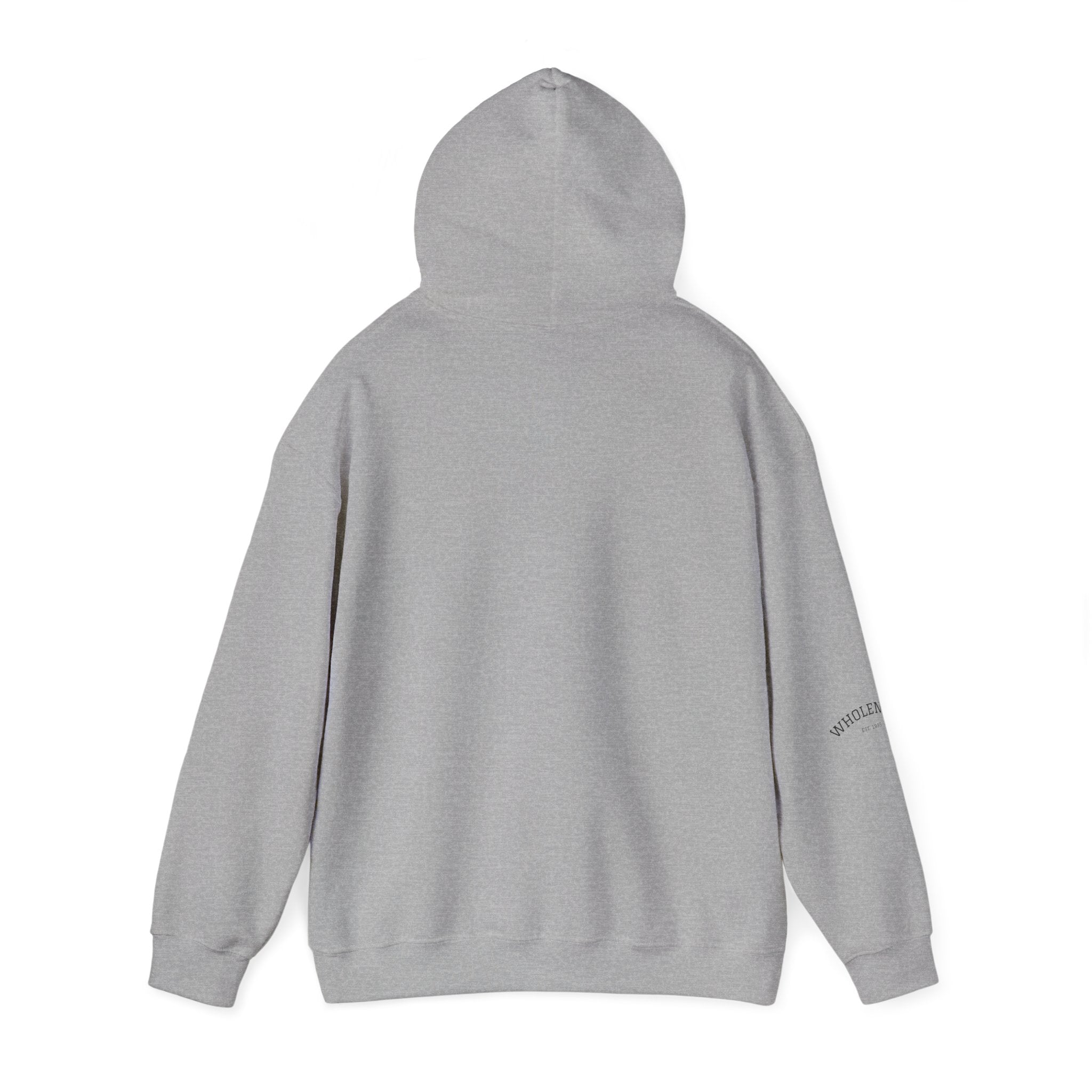 IEP Compass Hoodie | Special Education Parent Advocate Sweatshirt