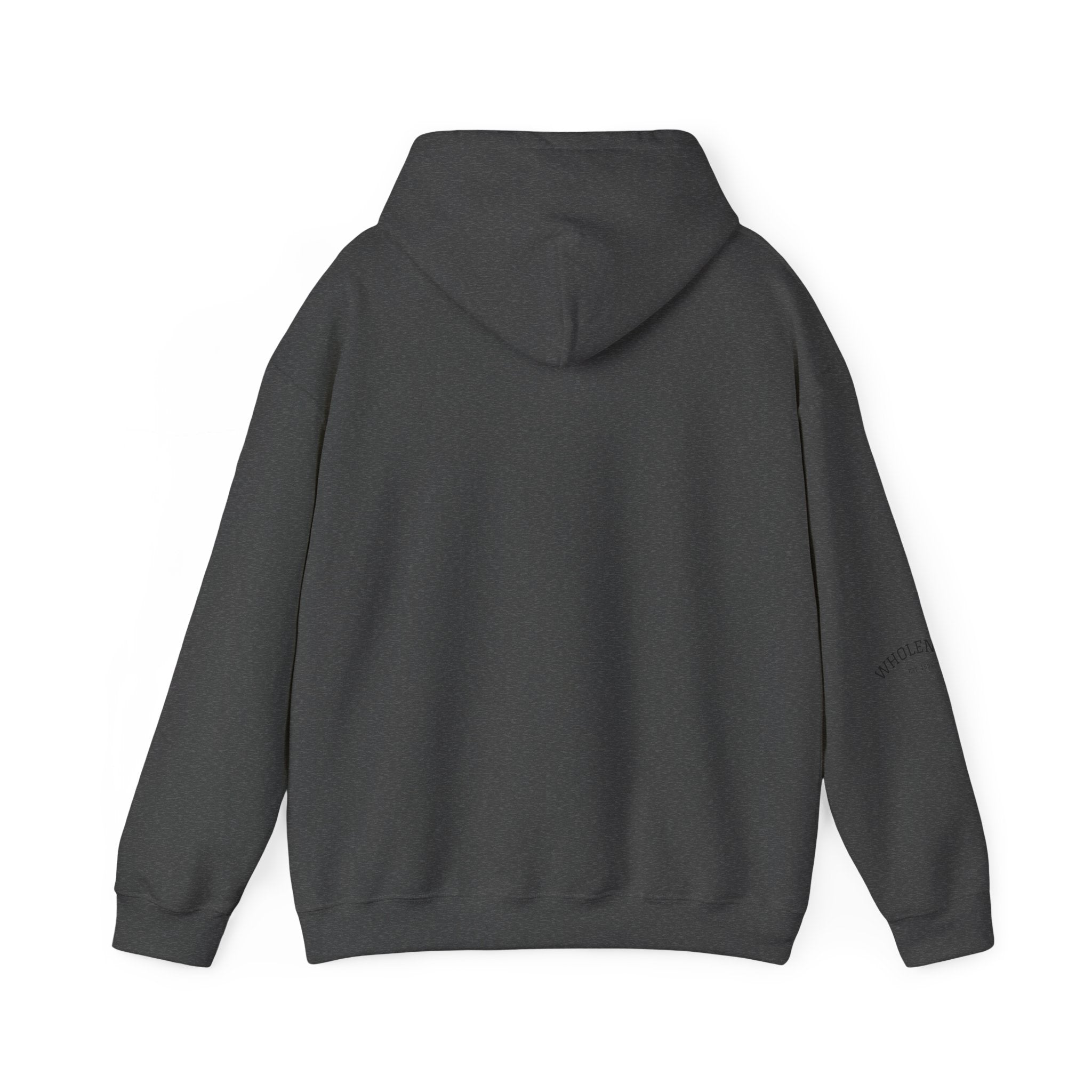 IEP Compass Hoodie | Special Education Parent Advocate Sweatshirt