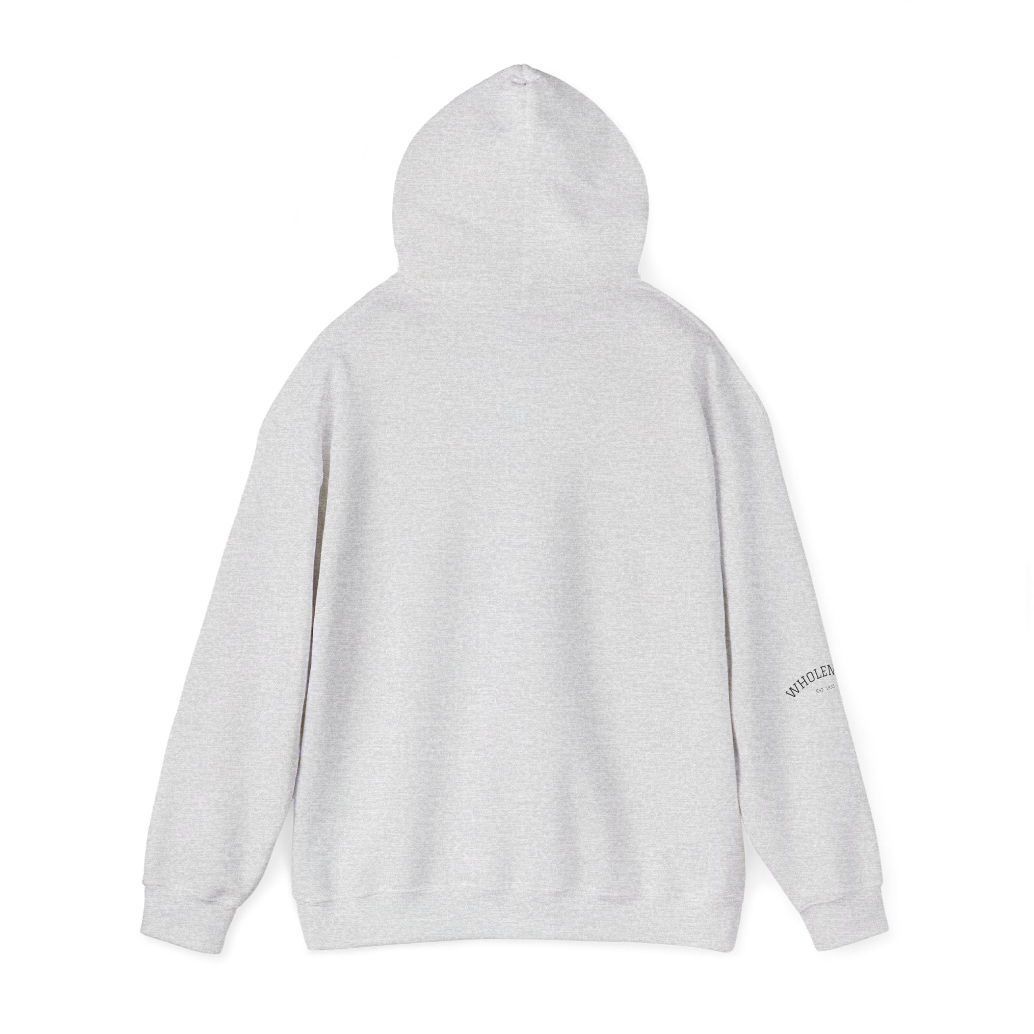 IEP Compass Hoodie | Special Education Parent Advocate Sweatshirt