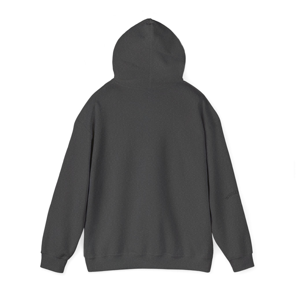 IEP Compass Hoodie | Special Education Parent Advocate Sweatshirt