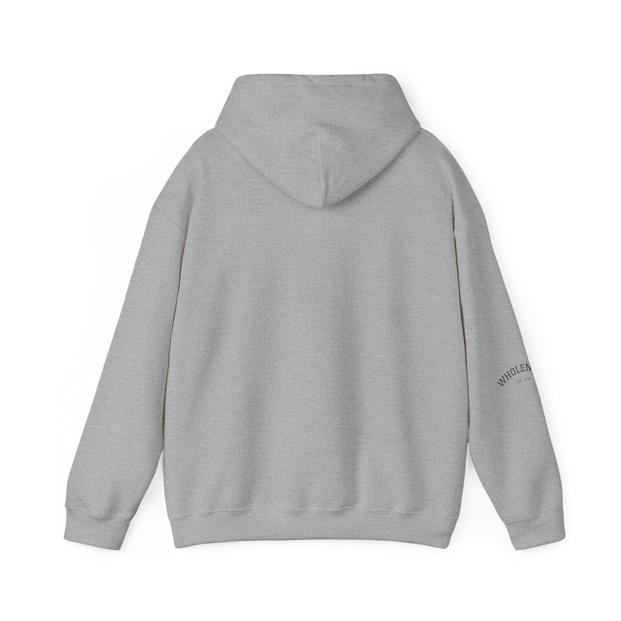 IEP Compass Hoodie | Special Education Parent Advocate Sweatshirt