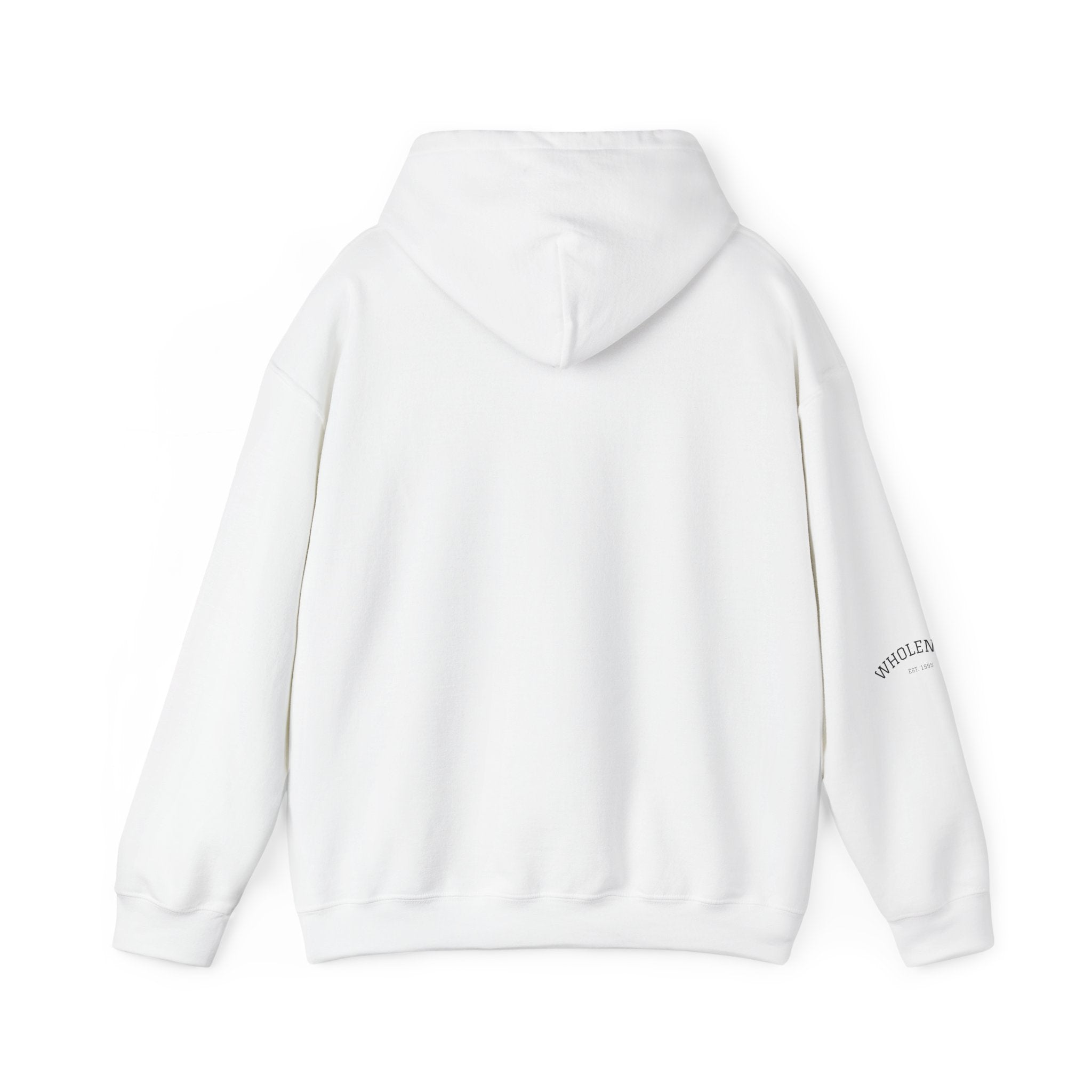 IEP Compass Hoodie | Special Education Parent Advocate Sweatshirt